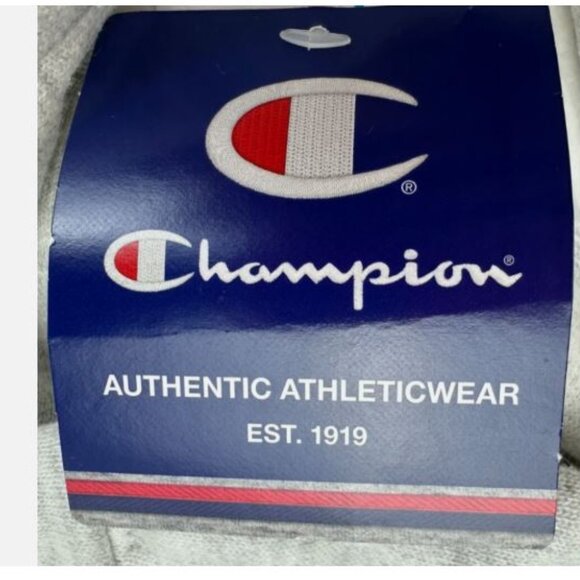 Champion Reverse Weave Boyfriend Women's Hoodie Size L Silver Grey New - Picture 5 of 9